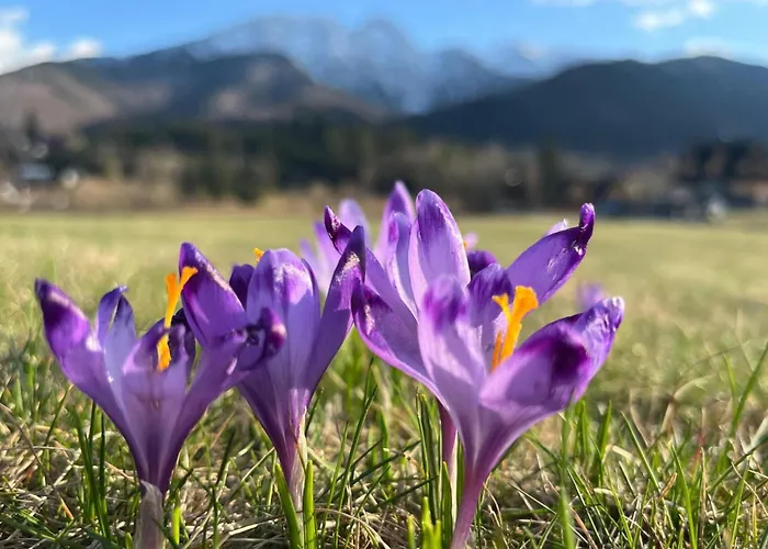 Radisson Blu Hotel&Residences Zakopane
